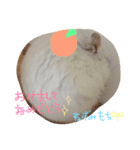 れもちゃんず2（個別スタンプ：9）