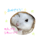れもちゃんず2（個別スタンプ：11）