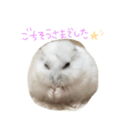 れもちゃんず2（個別スタンプ：13）