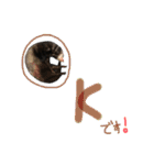 フェレットのまぶちゃん（個別スタンプ：2）