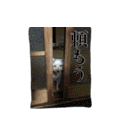 マルチーズ にしき（個別スタンプ：36）