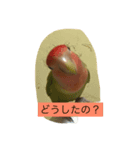 ワンコとインコ（個別スタンプ：3）