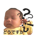 TAHONIKA2（個別スタンプ：22）