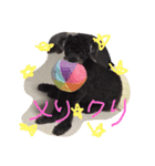 nagi@sora（個別スタンプ：2）