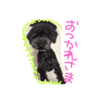 nagi@sora（個別スタンプ：10）