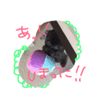 nagi@sora（個別スタンプ：12）