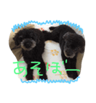 nagi@sora（個別スタンプ：15）