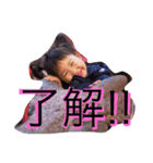 えぐちさんちの愉快な仲間たち（個別スタンプ：7）
