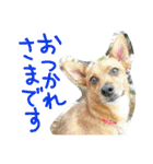 雑種のむーやん 2（個別スタンプ：6）