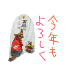 雑種のむーやん 2（個別スタンプ：7）