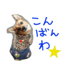 雑種のむーやん 2（個別スタンプ：9）