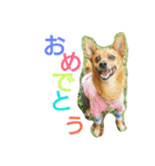 雑種のむーやん 2（個別スタンプ：17）