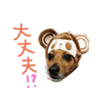 雑種のむーやん 2（個別スタンプ：20）