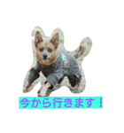 雑種のむーやん 2（個別スタンプ：23）