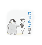 じゅんこです（個別スタンプ：10）