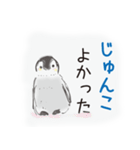 じゅんこです（個別スタンプ：11）