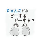 じゅんこです（個別スタンプ：28）