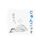 じゅんこです（個別スタンプ：37）