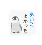 あいこです（個別スタンプ：11）