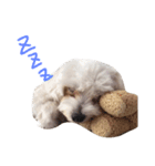 Dog Nick（個別スタンプ：4）