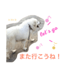 ハスキーとグレピレ3（個別スタンプ：17）