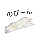にょろろん（個別スタンプ：1）