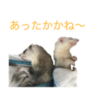 にょろろん（個別スタンプ：6）