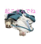 にょろろん（個別スタンプ：7）