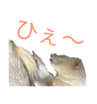 にょろろん（個別スタンプ：8）