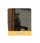 wagakow（個別スタンプ：14）