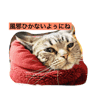 wagakow（個別スタンプ：16）