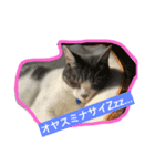 可愛いスタンプ123（個別スタンプ：4）