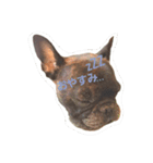 ゴエモン(フレブル)（個別スタンプ：3）