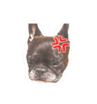 ゴエモン(フレブル)（個別スタンプ：6）