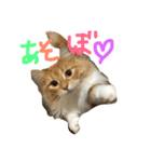 ハッピーまねきねこのみみちゃん♡（個別スタンプ：4）
