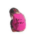 やんちゃ娘スタンプ（個別スタンプ：2）