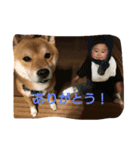 ya-ya（個別スタンプ：7）