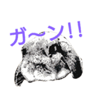 ワンコになりたいうさぎ 02（個別スタンプ：4）