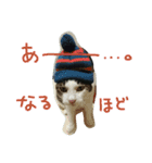 白サバ＆黒猫（個別スタンプ：6）