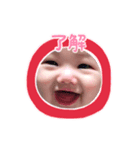 Daimu（個別スタンプ：1）