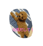 マロン(*^o^*)（個別スタンプ：6）
