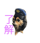 はなとマロン（個別スタンプ：4）