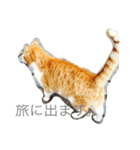 animal111（個別スタンプ：2）