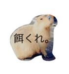 animal111（個別スタンプ：6）