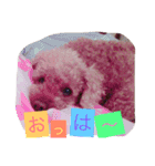 Gintoki(part2)（個別スタンプ：5）