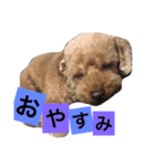 Gintoki(part2)（個別スタンプ：6）