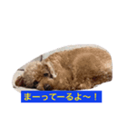 Gintoki(part2)（個別スタンプ：9）