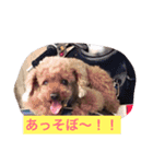 Gintoki(part2)（個別スタンプ：14）
