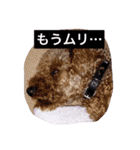 Gintoki(part2)（個別スタンプ：16）
