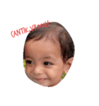 BABY GAUL（個別スタンプ：5）